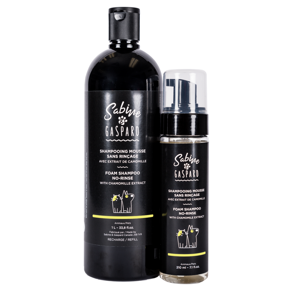 No rinse discount shampoo canada